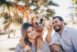 مقال جديد عن 4